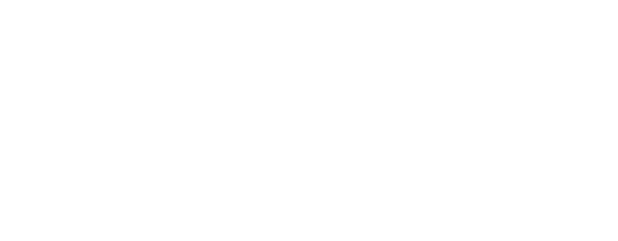 road to vostok logo